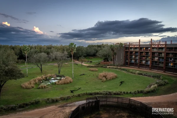 $99 Disney World Hotel Rooms? Yes, If You Have Disney+