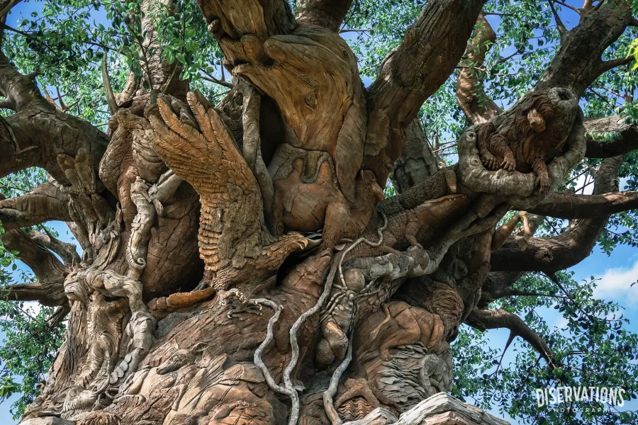 Looking up at the Tree of Life's many animal carvings