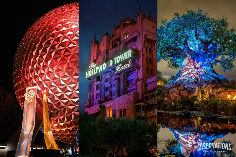 Spaceship Earth, Tower of Terror, and the Tree of Life, all at night