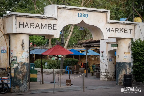 Restaurantosaurus Menu Items Moving to Harambe Market in 2026
