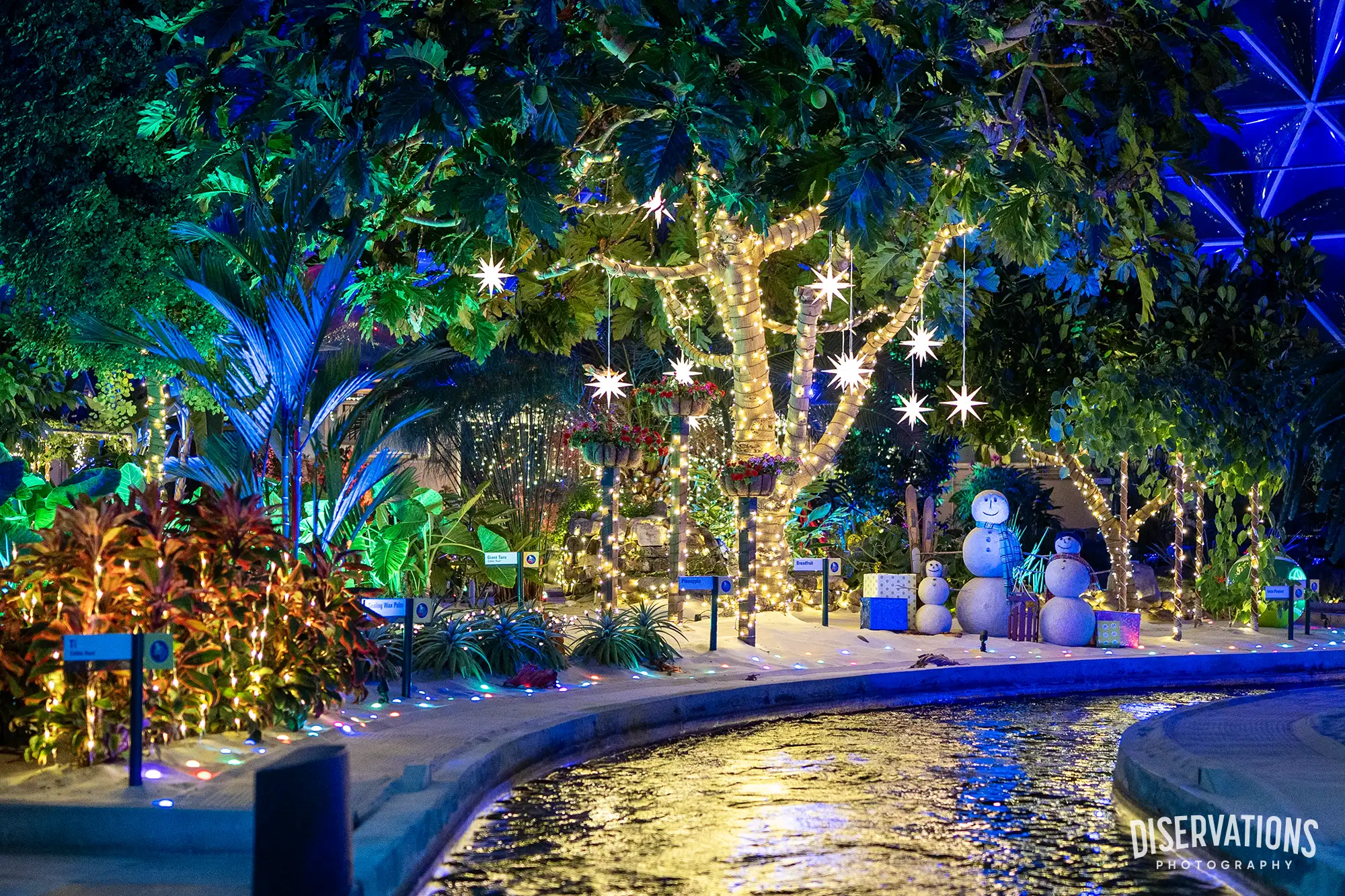Beautiful lighting in Living with the Land: Glimmering Greenhouses