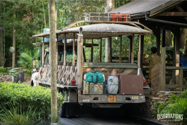 Guest Jumps From Kilimanjaro Safaris Truck to Relieve Himself