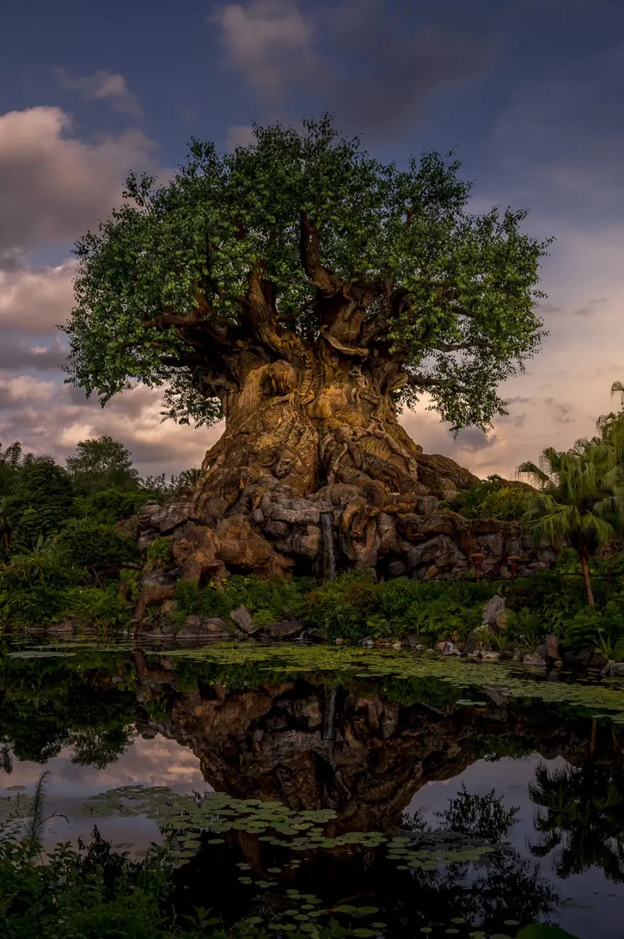 Animal Kingdom's Tree of Life just after sunset